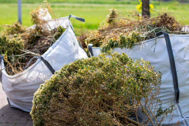 Best Appliance Removal Near Me  in Hull, IA